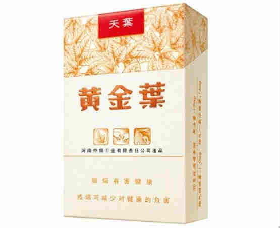 最新黃金葉天葉價格(批發零售)行情