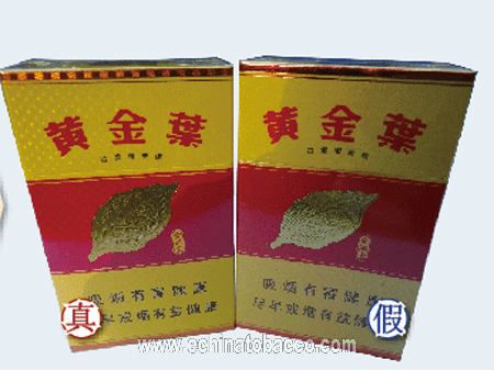 黃金葉(金滿堂)真假鑒別 細節一