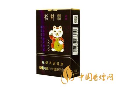 好貓(招財進寶1600)