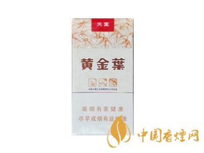 黃金葉大天葉和小天葉有啥區別 黃金葉大天葉和小天葉區別講解