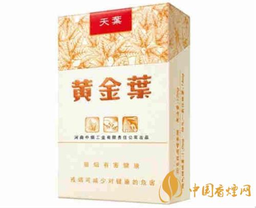 黃金葉天葉如何辨別真偽 黃金葉天葉價格介紹