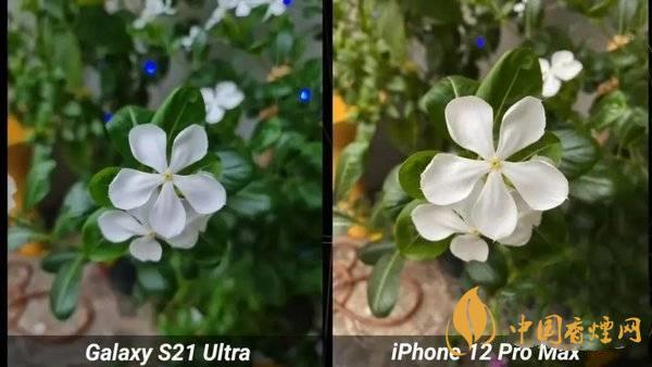 三星s21ultra鏡頭參數 三星s21ultra和iphone12promax拍照對比