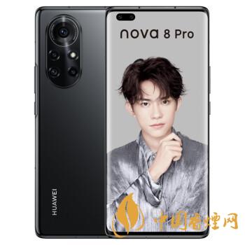 榮耀40和華為nova8Pro哪個好-榮耀40和華為nova8Pro參數對比