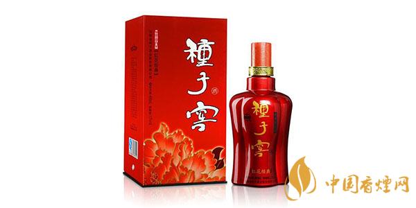 種子窖酒紅花經典52度多少錢一瓶 種子窖酒紅花經典口感如何