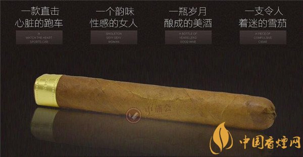 大衛杜夫雪茄(金裝美味)價格表圖 大衛杜夫金裝美味多少錢