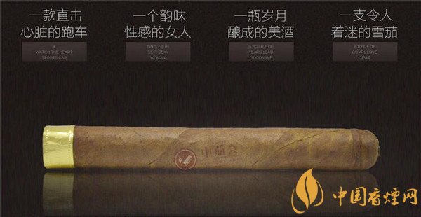 大衛杜夫雪茄(大衛杜夫金裝名士)怎么樣 大衛杜夫金裝名士好抽嗎?