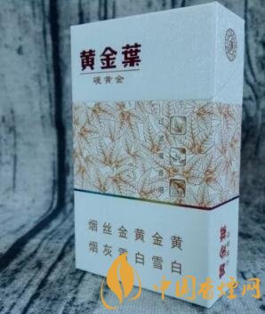黃金葉(硬黃金)