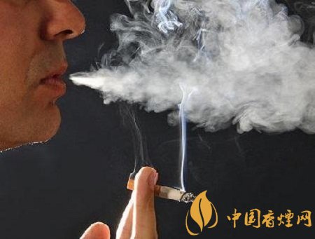 你不知道的吸煙危害 香煙不僅傷肺還傷胃！