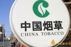 專業不對口能進煙草國企嗎別怕煙草國企需要各個專