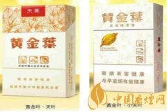 大天葉與小天葉區別有哪些 大天葉與小天葉的區別介紹